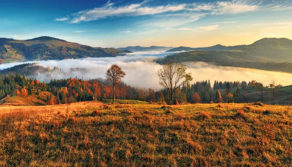 Majestatyczna Jesień Wiejskie Krajobrazy Krajobraz Górami Poranną Mgłą — Zdjęcie stockowe