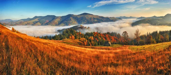 雄伟的秋天乡村风景 带晨雾的山景 — 图库照片