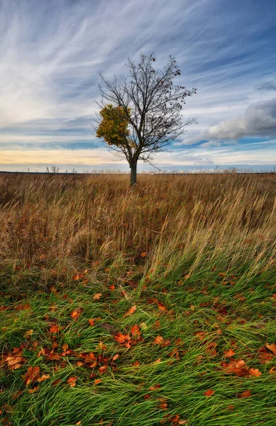 Podzimní Krajina Přírody Říjnu Jasné Ráno — Stock fotografie
