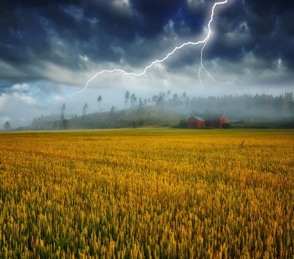 Blitz Über Einem Hügeligen Feld Landschaft Mit Dramatischen Gewitterwolken Hintergrund — Stockfoto