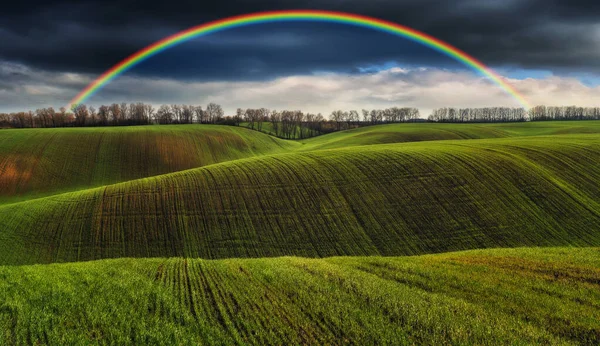 Vue Panoramique Arc Ciel Sur Champ Vert Ciel Gris Dramatique — Photo