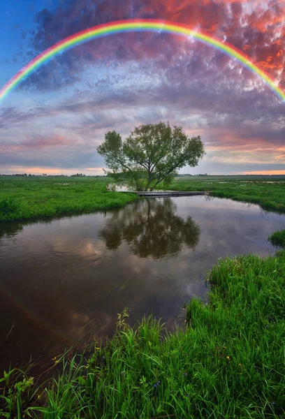 Baharda nehirde gökkuşağı olan bir manzara. Renkli bir sabah