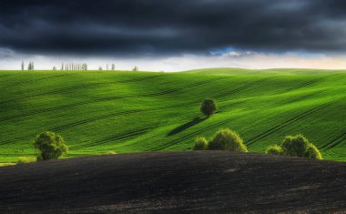 Tepeli bir tarlanın üzerindeki resimsel bulutlar. Kırsal alanda çarpıcı bir gökyüzü