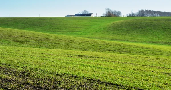 Fält — Stockfoto