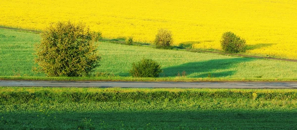 Road — Stock Photo, Image