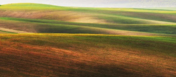 Campo — Fotografia de Stock