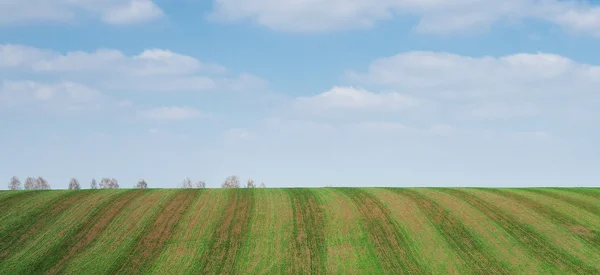 Fält — Stockfoto