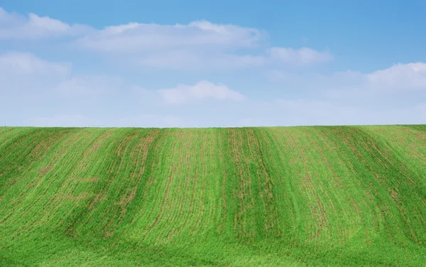 Fält — Stockfoto