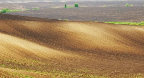 Zemin — Stok fotoğraf