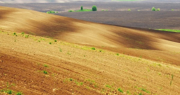 Terra — Fotografia de Stock