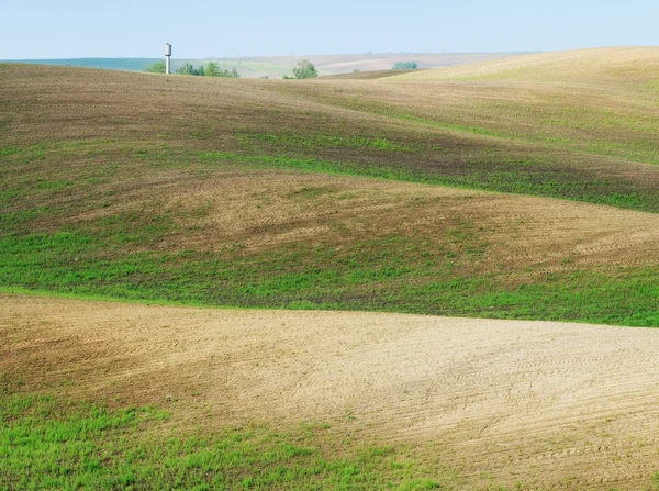 Field — Stock Photo, Image