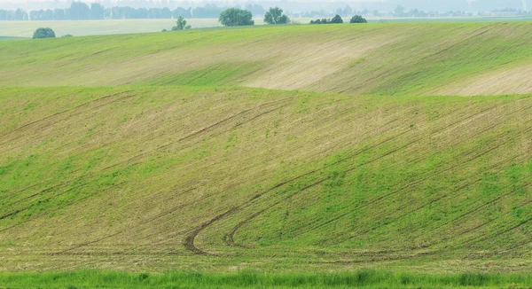 Fält — Stockfoto