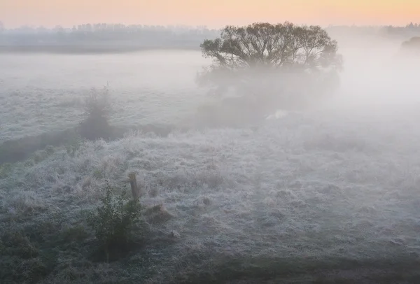 Autumn morning — Stock Photo, Image