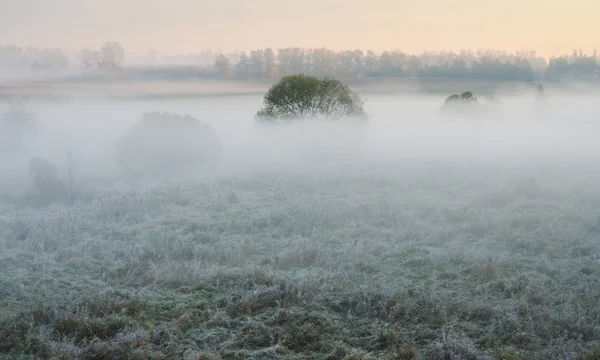 Autumn morning — Stock Photo, Image