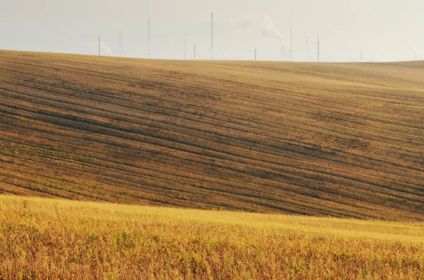 Field — Stock Photo, Image