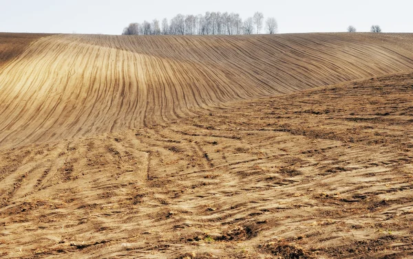 Ground — Stock Photo, Image