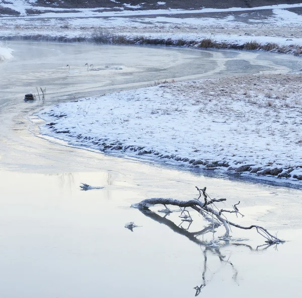 Rivière d'hiver — Photo