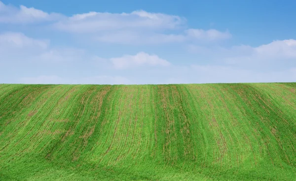 Vårfält — Stockfoto