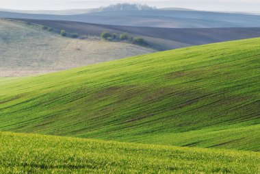 Yeşil tepelik alanın