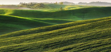 Yeşil tepelik alanın