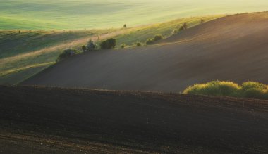 Bahar tepelik alanı