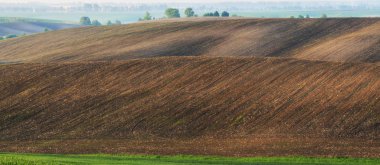Bahar tepelik alanı