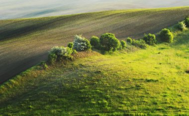 Bahar tepelik alanı
