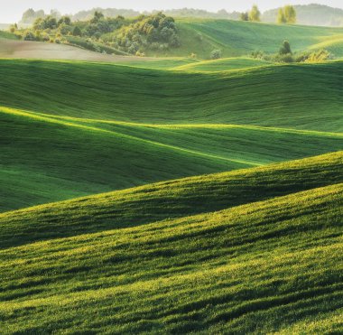 Yeşil tepelik alanın