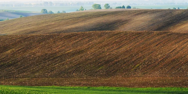 Na jaře kopcovité oblasti — Stock fotografie