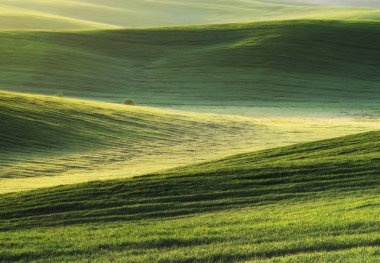 Yeşil tepelik alanın