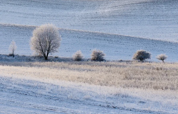 Campo de inverno montanhoso — Fotografia de Stock