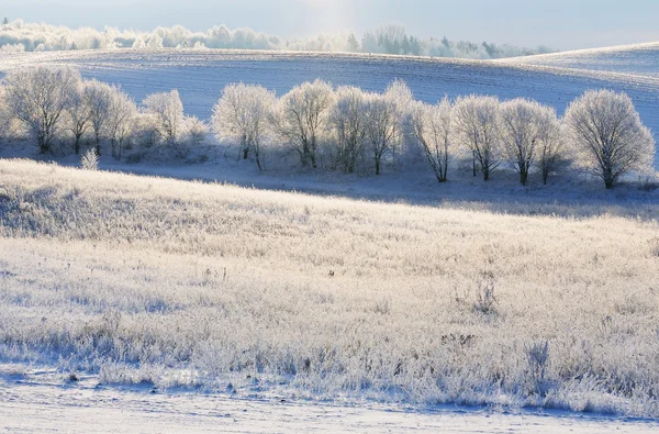 Campo de invierno montañoso — Foto de Stock