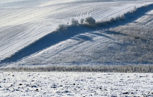 Campo de invierno montañoso — Foto de Stock