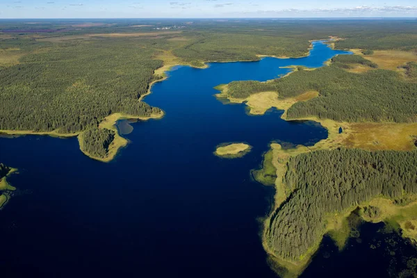Taiga 'da yüksek bir yerden orman gölü. Yüksek kalite fotoğraf