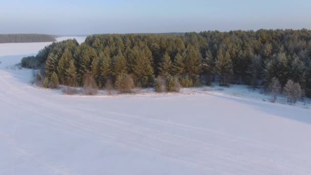 Voo sobre um lago de floresta de taiga no inverno — Vídeo de Stock