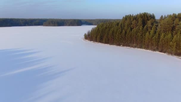 Voo sobre um lago de floresta de taiga no inverno — Vídeo de Stock