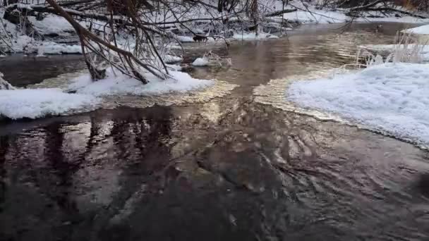 Зимний поток, лед и быстрое течение — стоковое видео