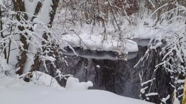 Ormandaki kış nehri. Karla kaplı ağaç dalları.
