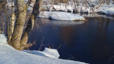 Fırtınalı orman nehri, hızla sonlu kaynak sularını taşır. Dallar akıyor.