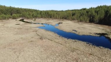 Taiga 'daki orman nehri yükseklikten uçuyor.