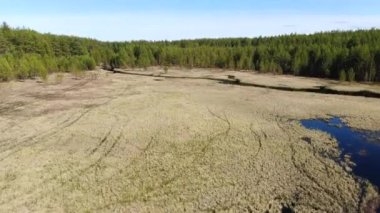 Taiga 'daki orman nehri yükseklikten uçuyor.