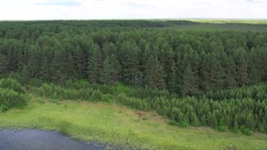 Taiga Orman Gölü üzerinden uçmak