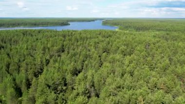 Taiga Orman Gölü üzerinden uçmak