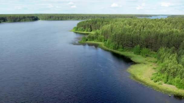 Vlucht over het meer van taiga — Stockvideo