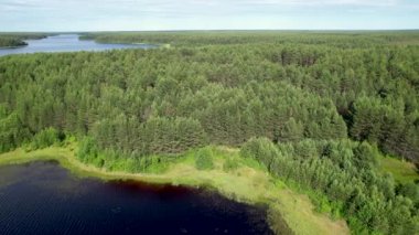 Taiga Orman Gölü üzerinden uçmak