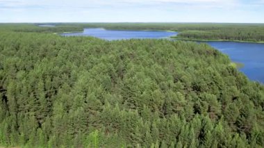 Taiga Orman Gölü üzerinden uçmak