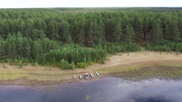 Vuelo sobre el lago del bosque de taiga — Vídeos de Stock