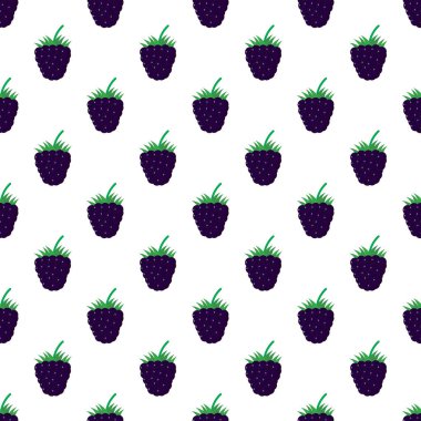 Böğürtlenli kusursuz desen. Vektör illüstrasyonu