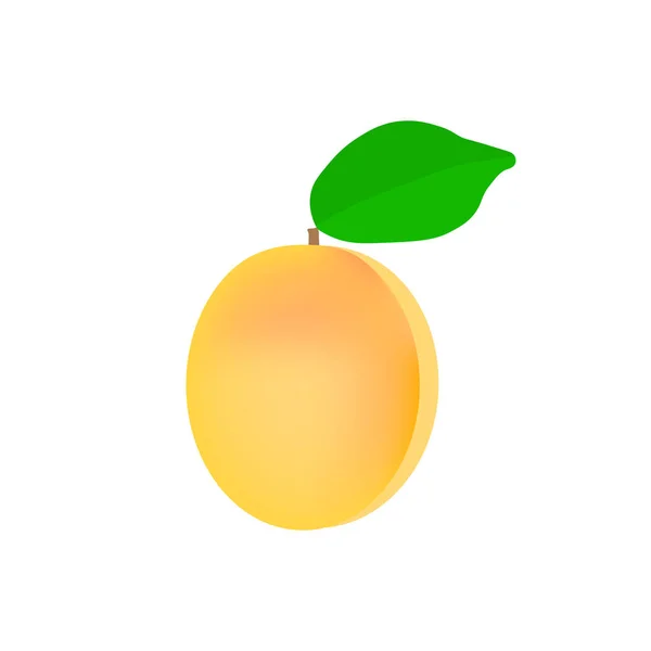 Delicious Apricot Icon Vector Illustration — Stock Vector