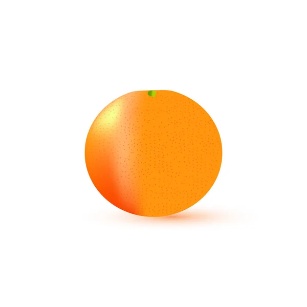 Icône Mandarine Colorée Illustration Vectorielle — Image vectorielle